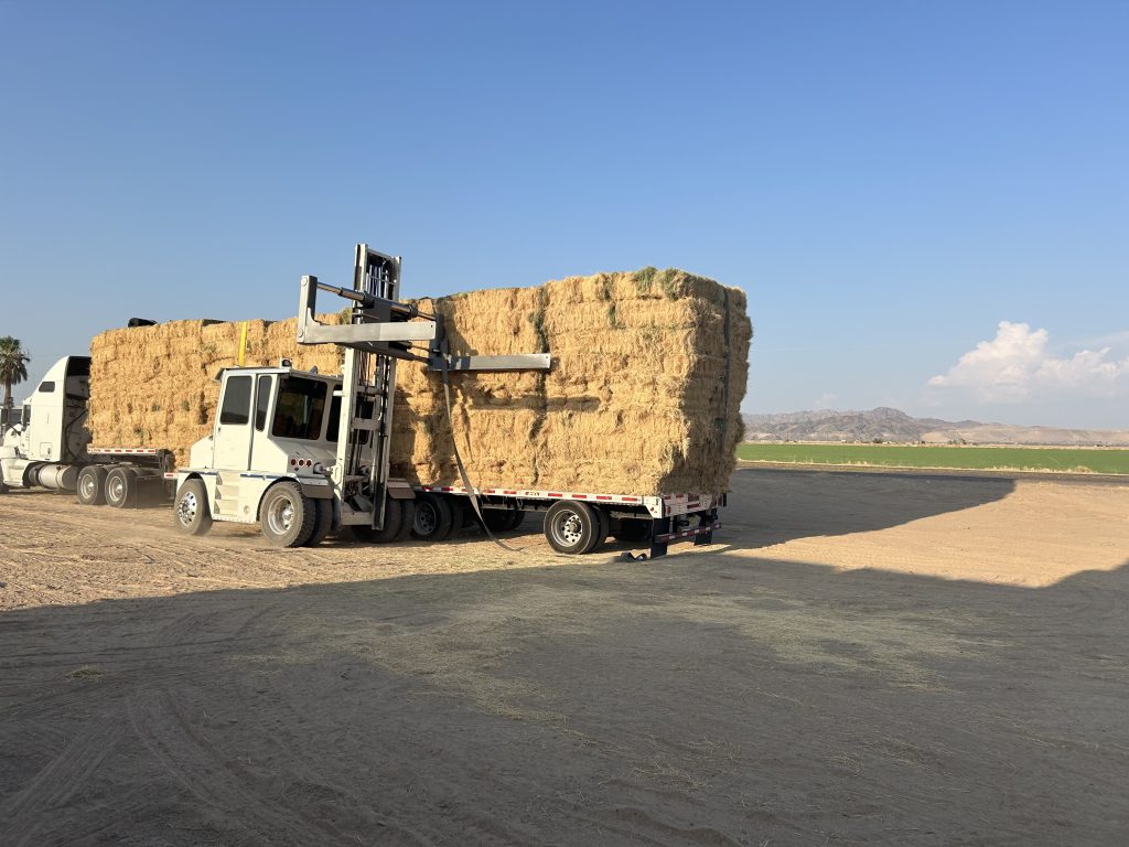 From Field to Feed: How EN FARMS Produces and Delivers High-Quality Hay